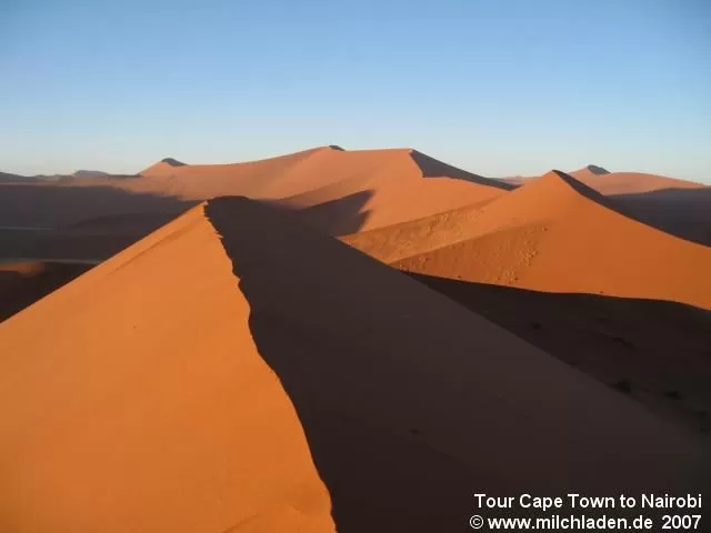 Die Düne 45 in der Wüste Namib