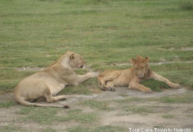 cape_to_nairobi_258
