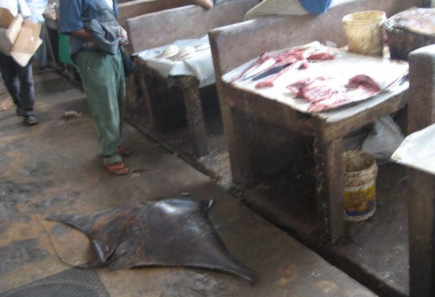 stonetown2009-007