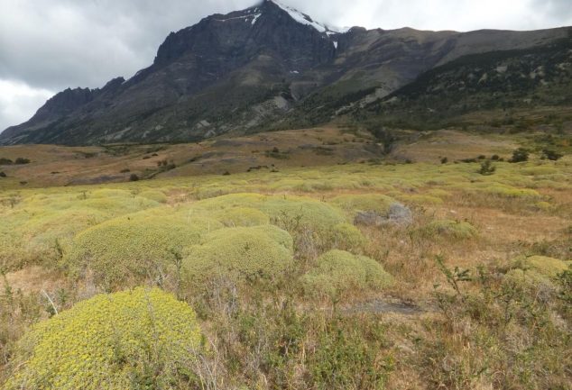 torres_del_paine_chile_011