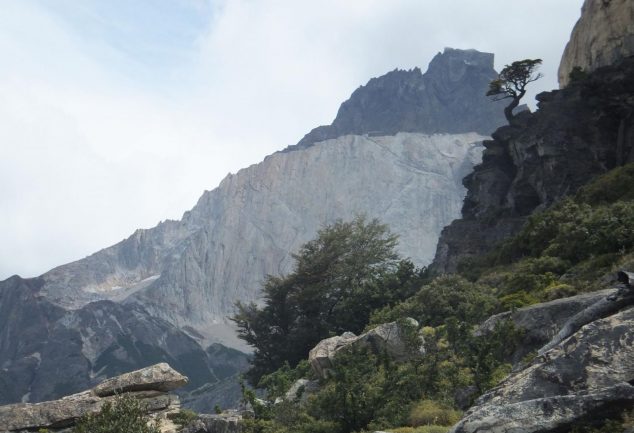 torres_del_paine_chile_024