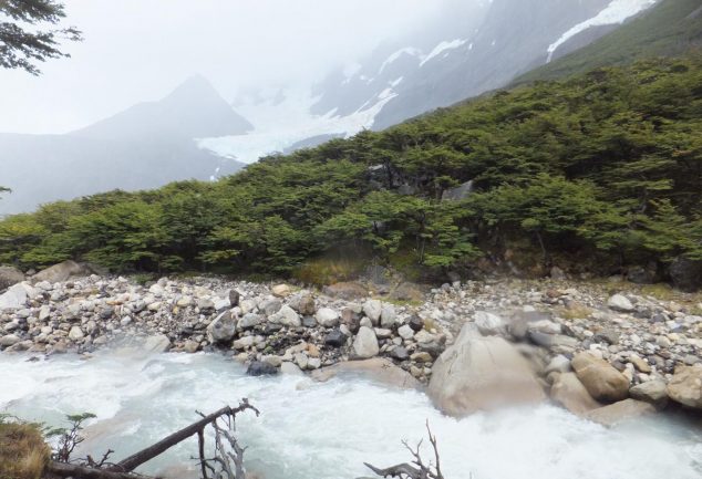 torres_del_paine_chile_044