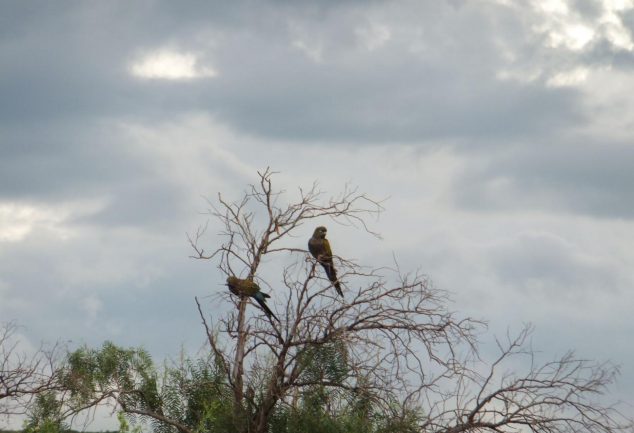 nationalpark_los_cardones_018