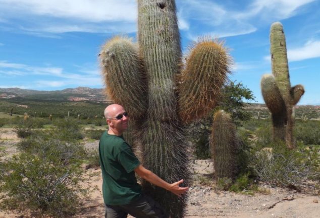 nationalpark_los_cardones_047