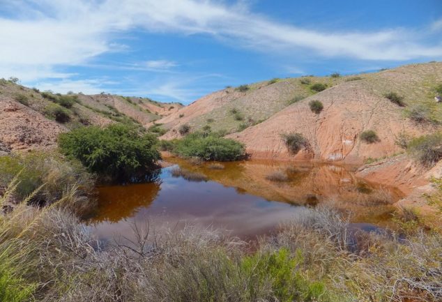 nationalpark_los_cardones_052