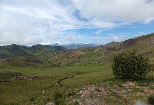 nationalpark_los_cardones_053