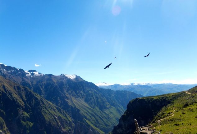 colca_canyon_peru_030