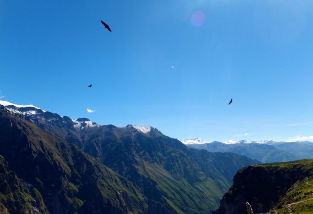 colca_canyon_peru_031