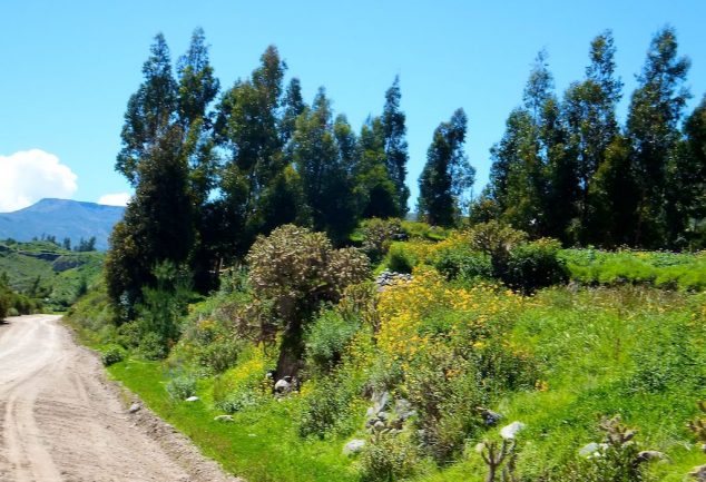colca_canyon_peru_035