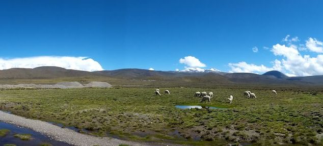 colca_canyon_peru_046
