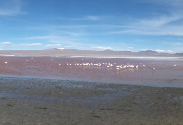 salar_de_uyuni_tour_day1_032