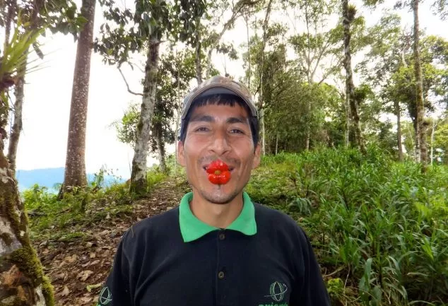 Raphael (Ecuador / Ecuador)