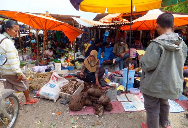 insel_samosir_indonesien_044