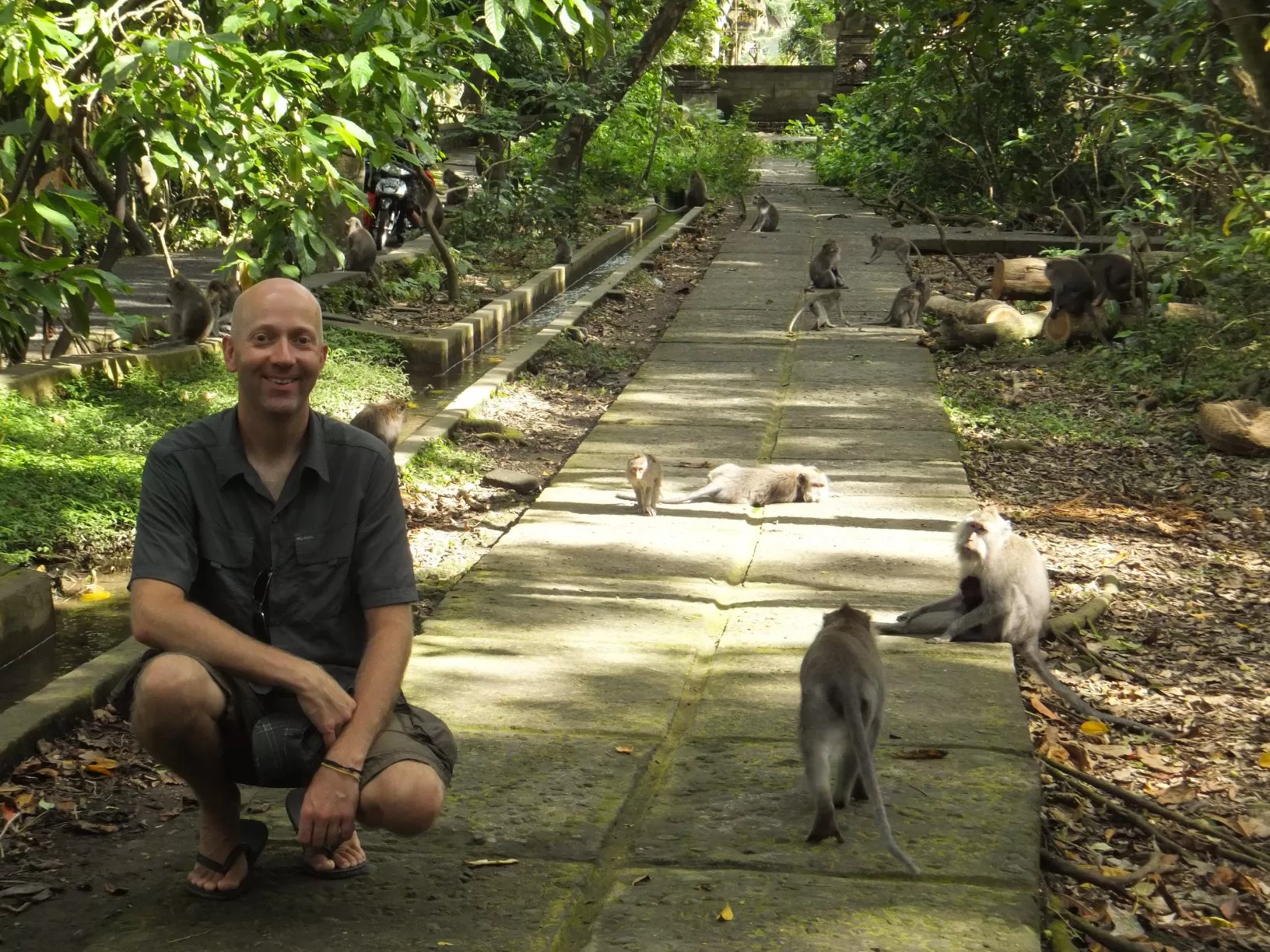 Monkey Forest in Ubud Monkey Forest in Ubud
