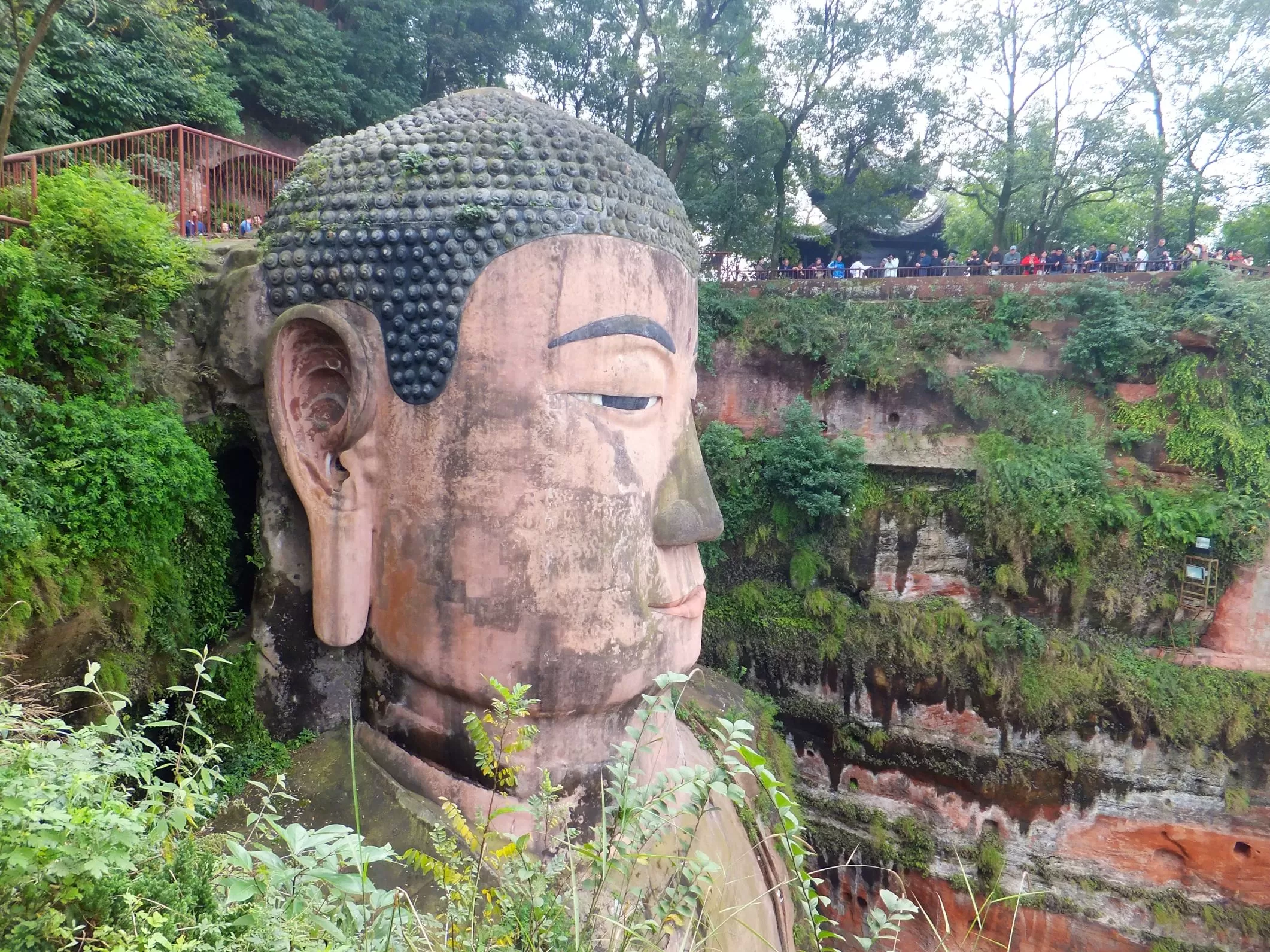 Giant Buddha - Leshan Giant Buddha - Leshan