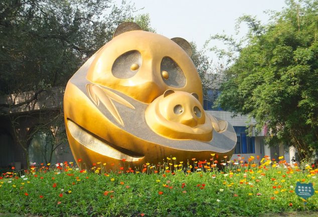 Panda Base Center - Chengdu - China