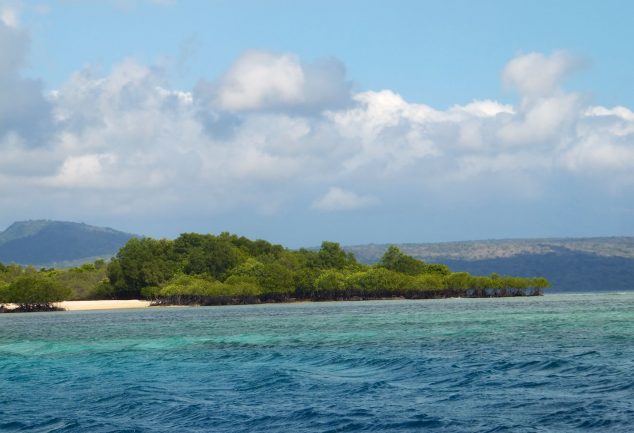 Menjangan Island Bali – Indonesien