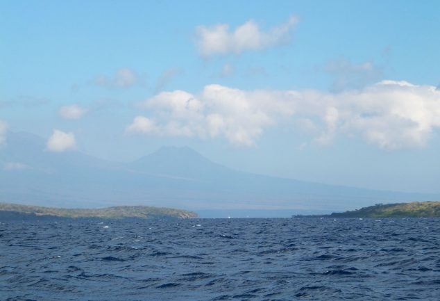Menjangan Island Bali – Indonesien