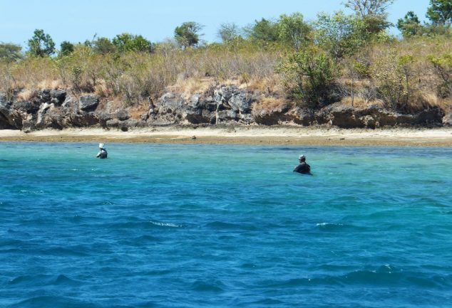 Menjangan Island Bali – Indonesien
