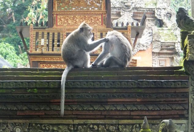 ubud_2013_018