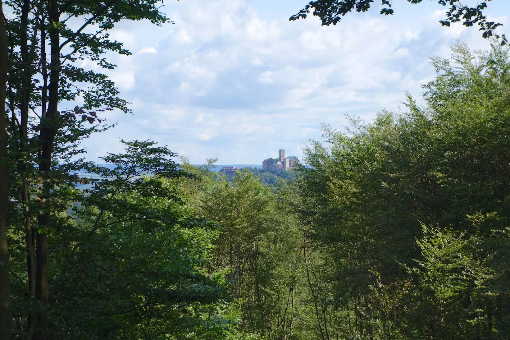 Der Rastplatz - Die Wilde Sau - Im Hintergrund die Wartburg Der Rastplatz - Die Wilde Sau - Im Hintergrund die Wartburg
