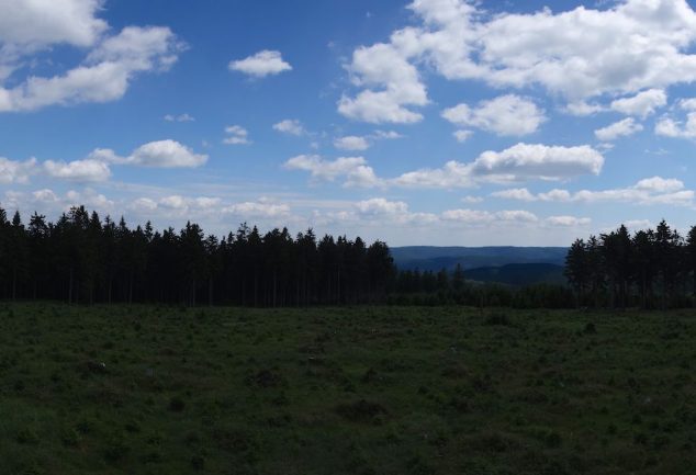 Die Rennsteigwanderung