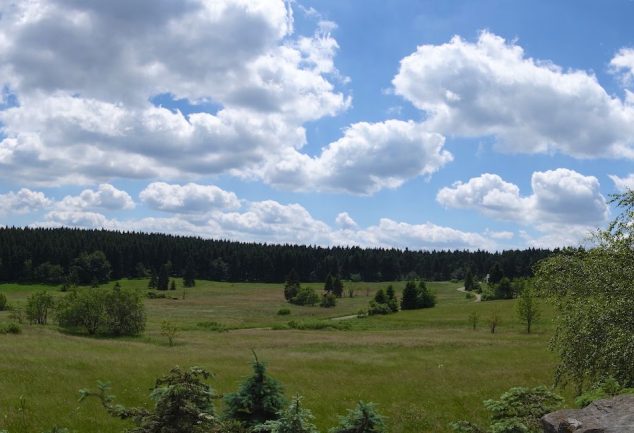 Die Rennsteigwanderung