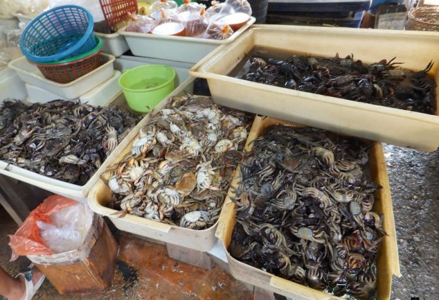 bangkok_tag_1_2013_013