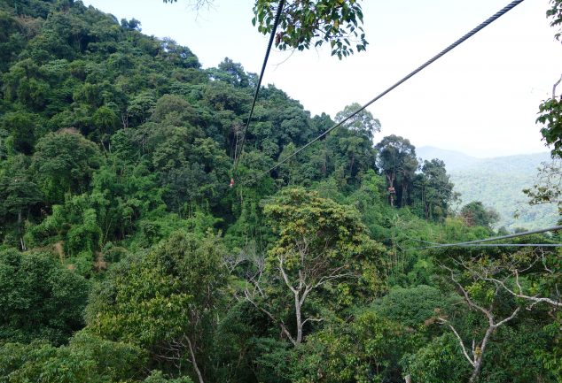 chaing_mai_zipline_2014_013