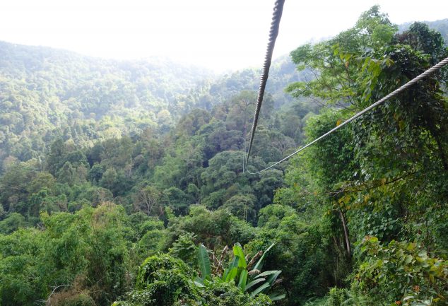 chaing_mai_zipline_2014_014
