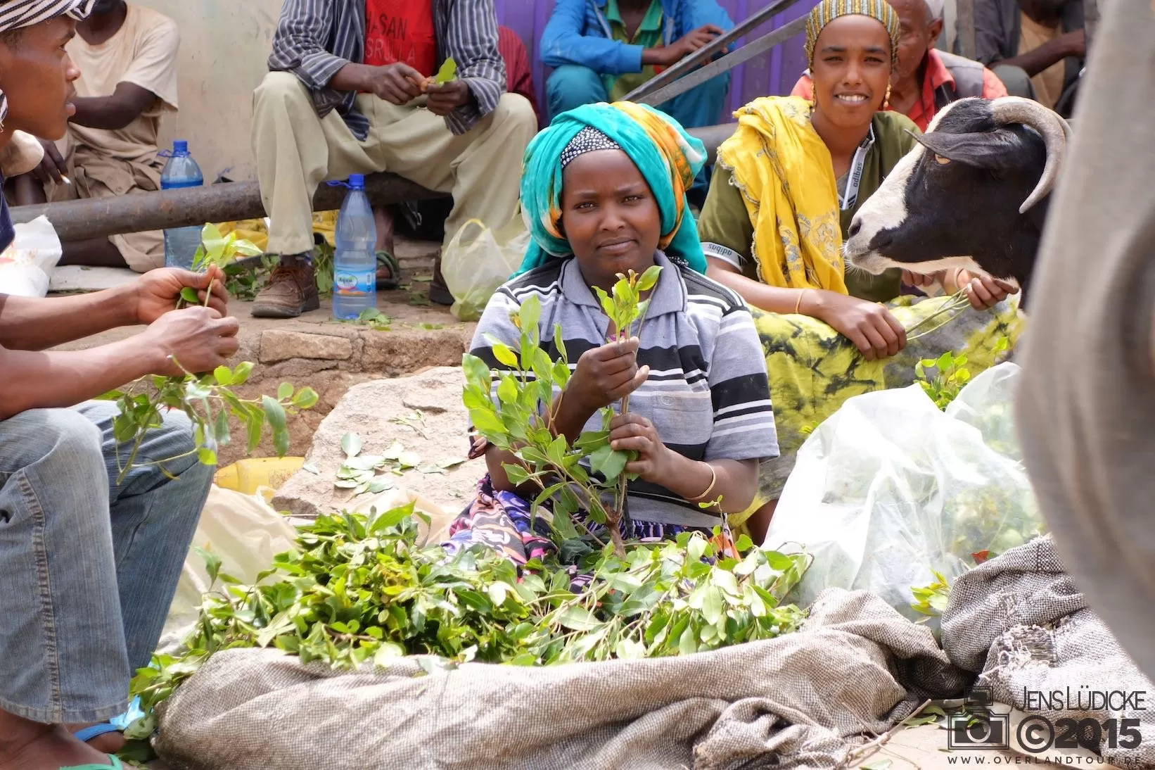 Khat-Markt in Harar Khat-Markt in Harar