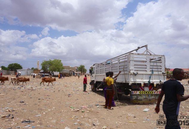 somaliland_2015_009
