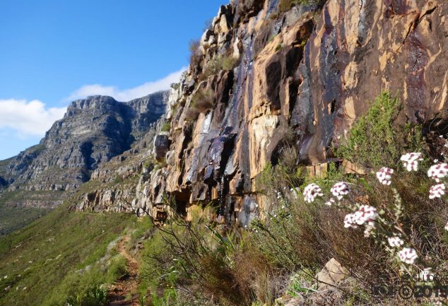 Platteklip Gorge Wanderung - Tafelberg Kapstadt