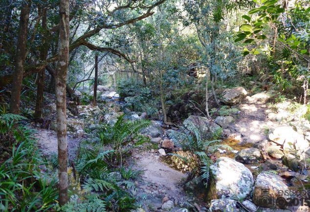garden_route_2015_049