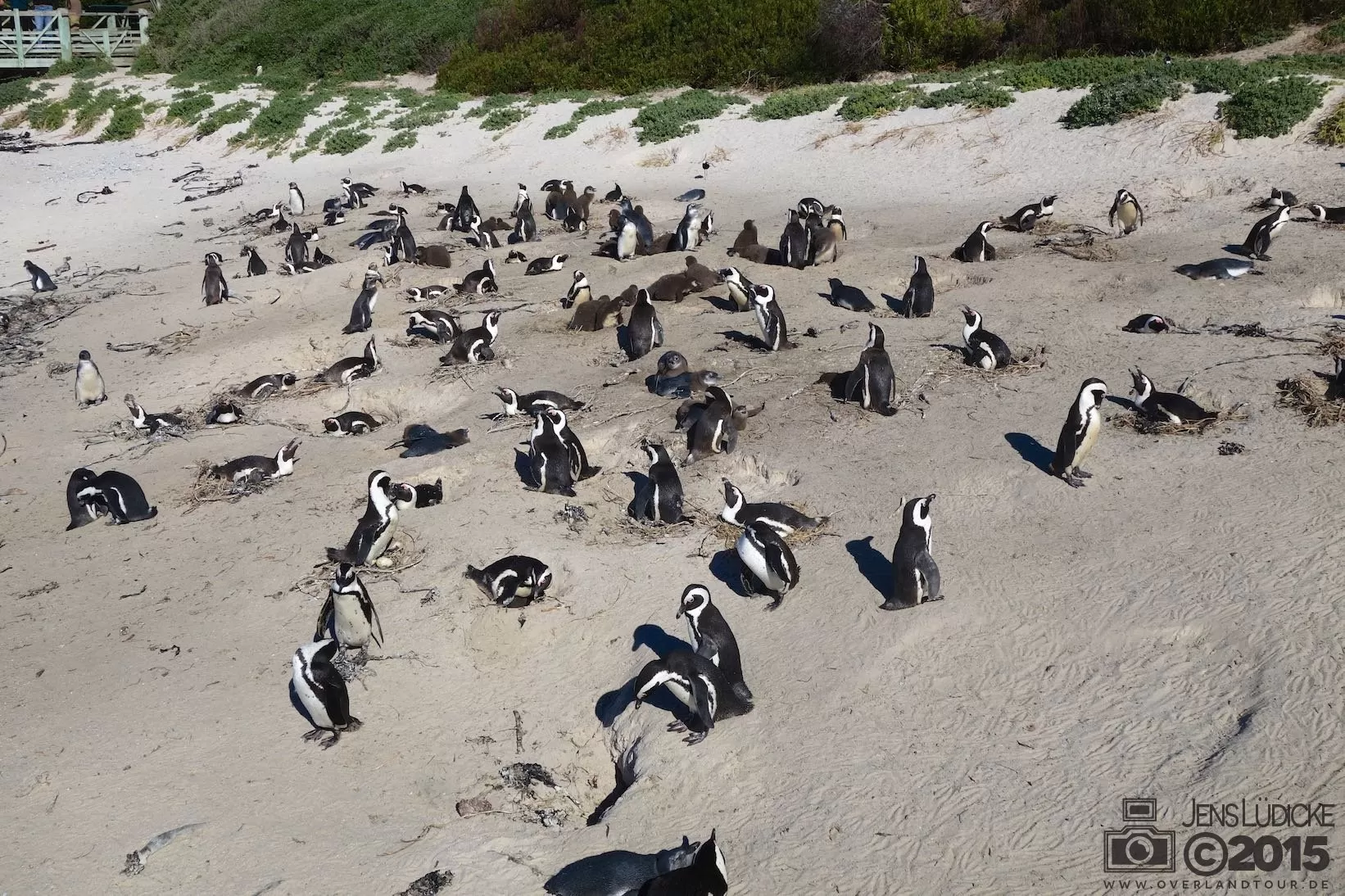 Boulders Beach Boulders Beach