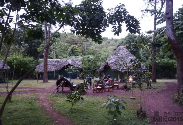 Karatu Forest Tented Camp – Ein toller Ort im Busch