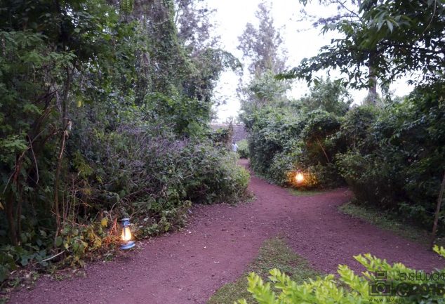 Karatu Forest Tented Camp – Ein toller Ort im Busch