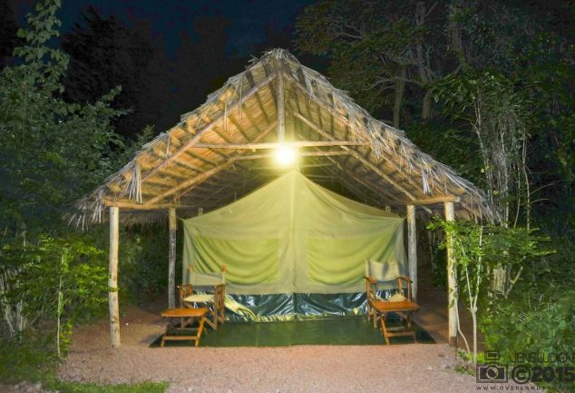 Karatu Forest Tented Camp – Ein toller Ort im Busch