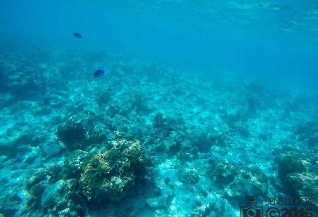 nungwi_2015-119