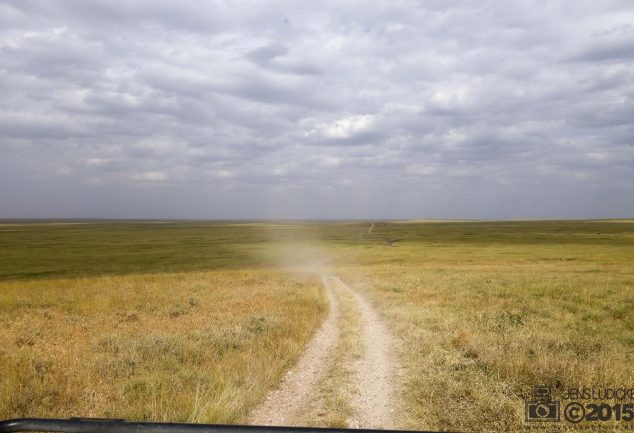 Serengeti Safari Tour in Tansania