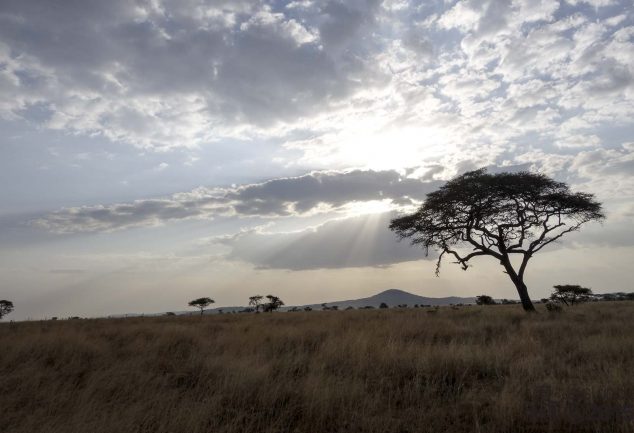 Serengeti Safari Tour in Tansania