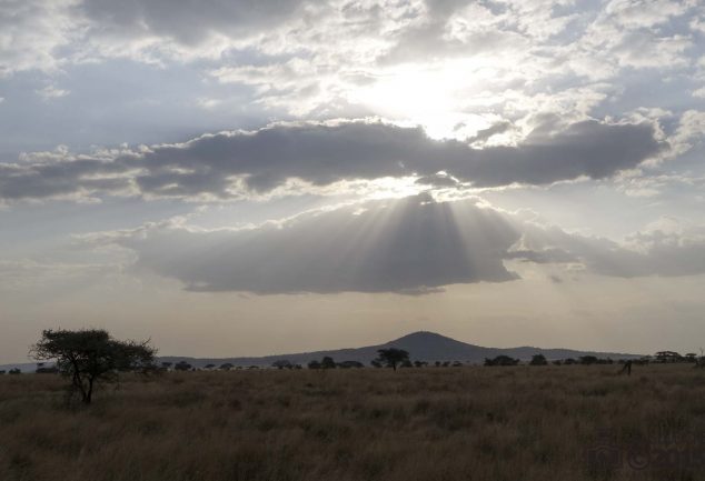 Serengeti Safari Tour in Tansania