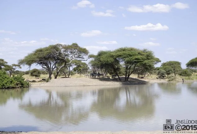 Tarangire Nationalpark