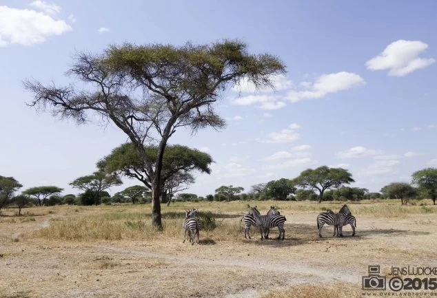 Tarangire Nationalpark