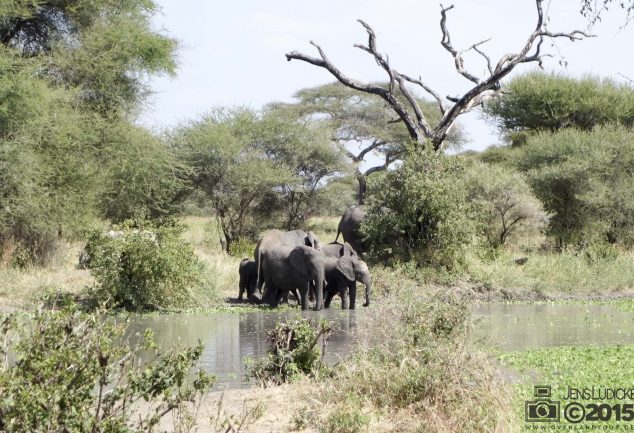 Tarangire Nationalpark