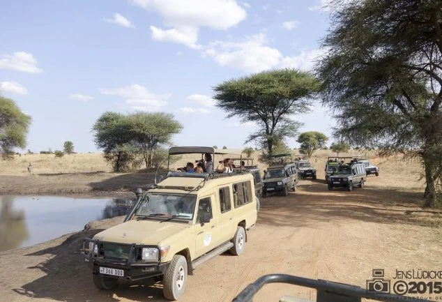 Tarangire Nationalpark