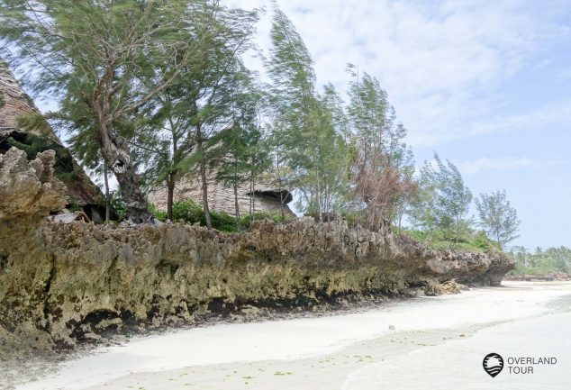 Der Strand der Unguja Lodge
