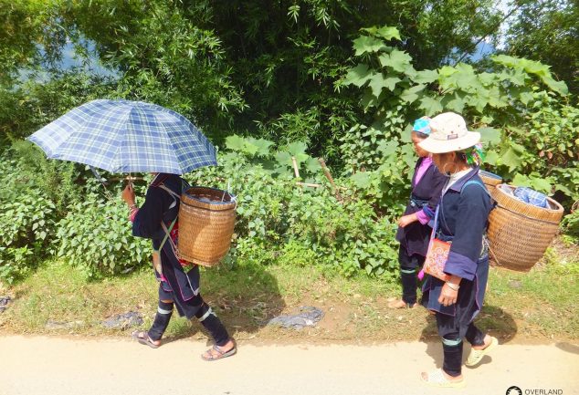 Sa_Pa_North_Vietnam_347