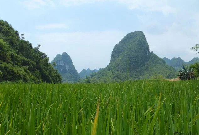 ban_gioc_waterfall_north_vietnam_006