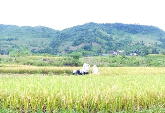 ha_giang_north_vietnam_018